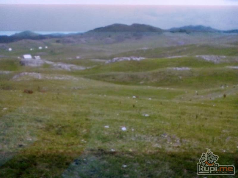 Prodajemzemljišni kompleks na zabljaku 2km skijalista javorovaca prema jezerimA u jednom komadu 5ha.